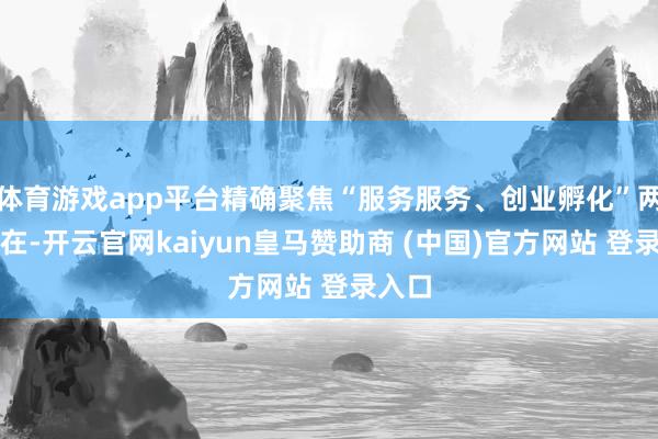 体育游戏app平台精确聚焦“服务服务、创业孵化”两大所在-开云官网kaiyun皇马赞助商 (中国)官方网站 登录入口