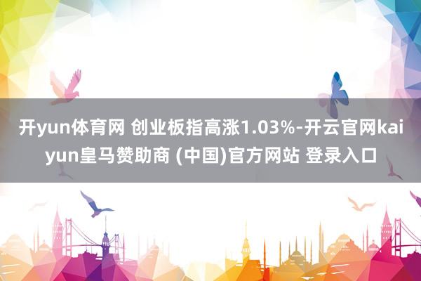 开yun体育网 创业板指高涨1.03%-开云官网kaiyun皇马赞助商 (中国)官方网站 登录入口