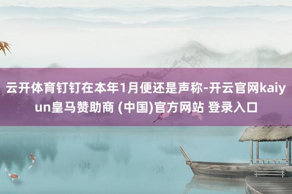 云开体育钉钉在本年1月便还是声称-开云官网kaiyun皇马赞助商 (中国)官方网站 登录入口